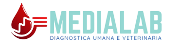 Logo Media Italia